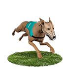 多樂米麻將館娛樂城白金賽狗 多樂米麻將館娛樂城白金賽狗